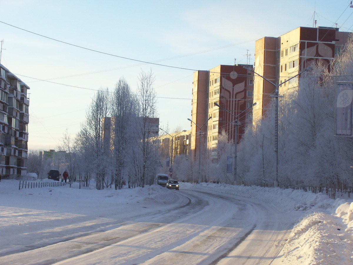 Город-спутник АЭС — Энциклопедия Руниверсалис